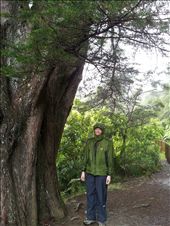 A soggy Louise: by thekiwireporter, Views[157]