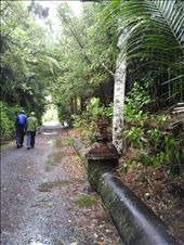 Old pipeline which supplied Auckland with water: by thekiwireporter, Views[135]