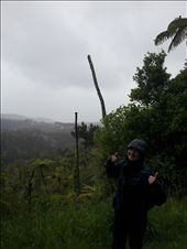 i wet Abigail: by thekiwireporter, Views[145]