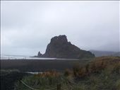 Piha beech and Lions rock: by thekiwireporter, Views[133]