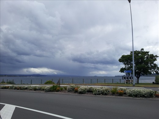 Taupo
