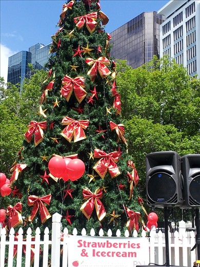 Strawberries and icecream along Lambton Quay, Welly