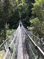 by thekiwireporter, Views[163]