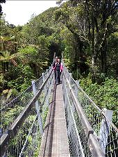 by thekiwireporter, Views[149]