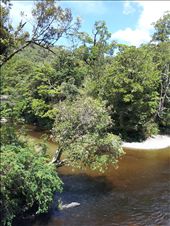 by thekiwireporter, Views[165]