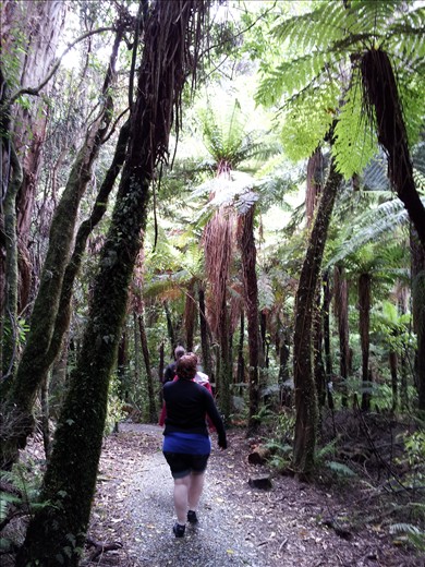 A stroll in the woods