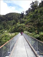 by thekiwireporter, Views[165]