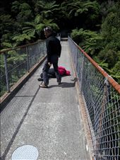 by thekiwireporter, Views[143]