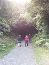 by thekiwireporter, Views[160]