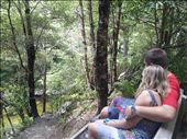 Rivendell - enjoying the view: by thekiwireporter, Views[155]