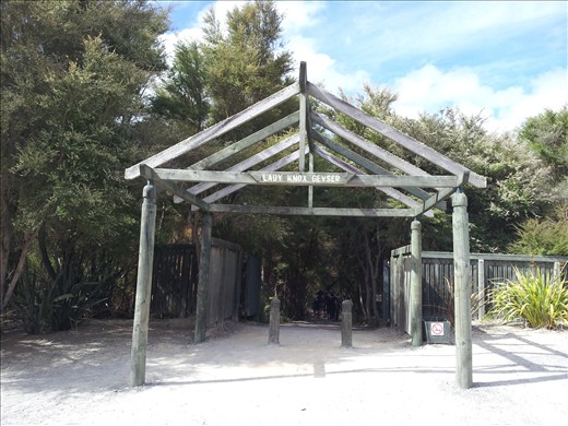 Lady Knox Geyser, Wai-o-tapu Geothermal Park