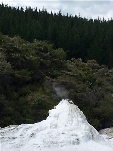 Lady Knox Geyser, Nr Rotorua