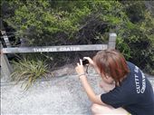 Turn the corner and you hear thunder but no rain or cloud in sight : by thekiwireporter, Views[162]
