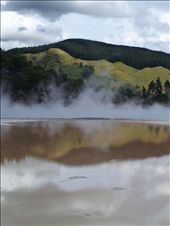 Love the juxtaposition: by thekiwireporter, Views[124]