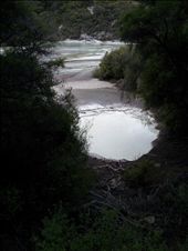 Milky lake, Wai-o-tapu: by thekiwireporter, Views[129]