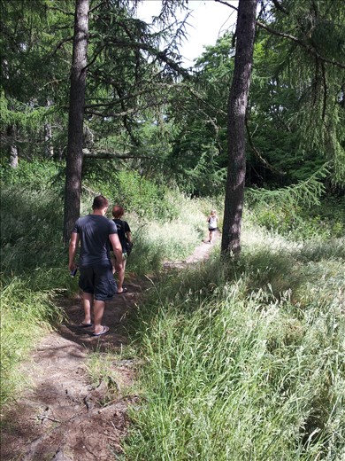 If you go down to the woods today... Kerosene Creek