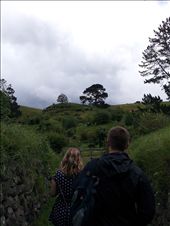 by thekiwireporter, Views[97]