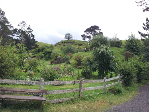 Big veg from the super volcanic soil