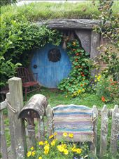 by thekiwireporter, Views[79]