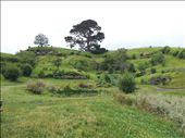 Hobbiton: by thekiwireporter, Views[138]