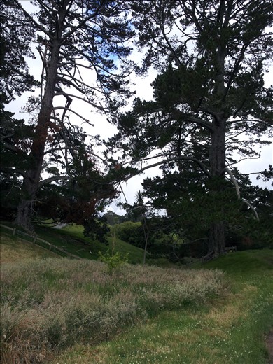 Opening shot on Frodo