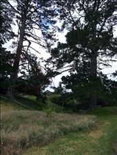 Opening shot on Frodo: by thekiwireporter, Views[109]