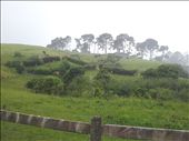 The extra bit of Hobbiton built and never filmed!: by thekiwireporter, Views[83]