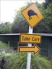 by thekiwireporter, Views[123]