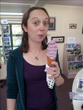 Blueberry icecream from the Blueberry experience: by thekiwireporter, Views[122]