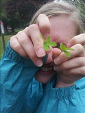 Four leaf clover!: by thekiwireporter, Views[143]