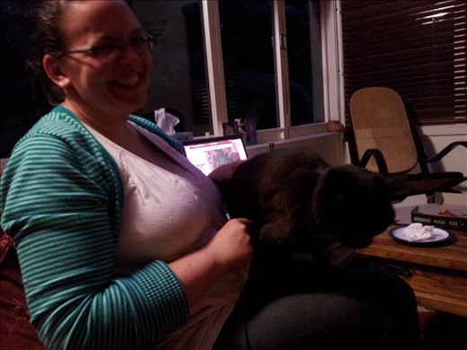 Back south and visting Zoe's friend Karin and another cat to love