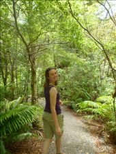 Walking round Rivendell: by thekiwireporter, Views[170]