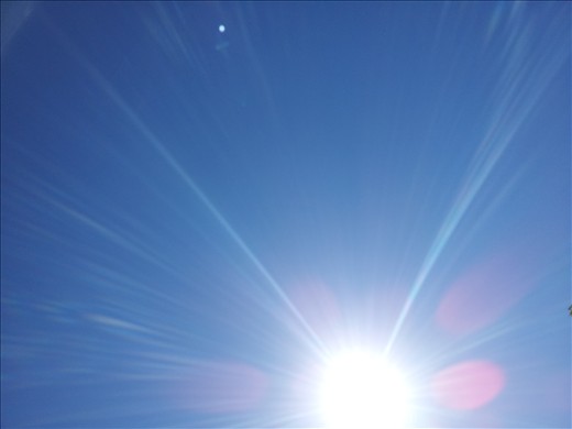 Feeling the summer heat