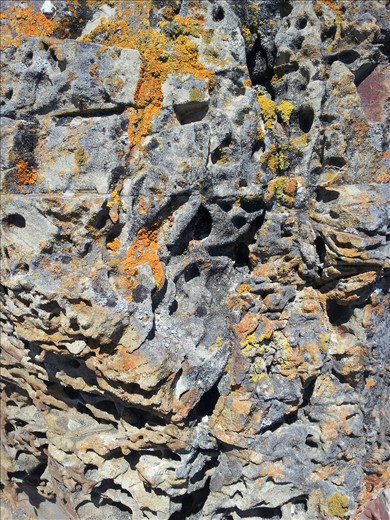 Admiring rocks near Eastbourne, Wellington harbour