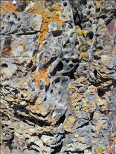 Admiring rocks near Eastbourne, Wellington harbour: by thekiwireporter, Views[192]