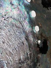 Paua shell: by thekiwireporter, Views[206]