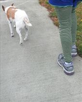 Friend's cool leggings and the runaway dog: by thekiwireporter, Views[177]