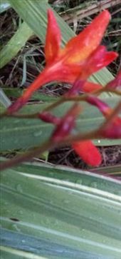 by thekiwireporter, Views[258]