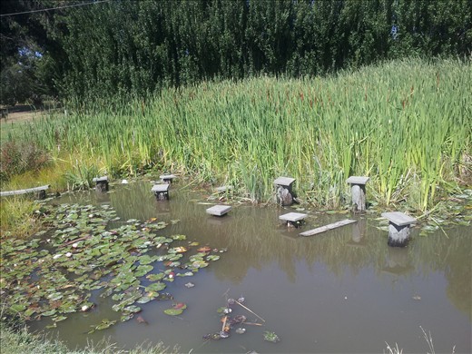 Stepping stones at Scout Camp