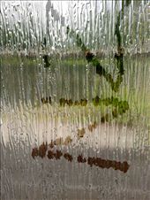 by thekiwireporter, Views[183]