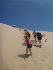 by thekiwireporter, Views[121]