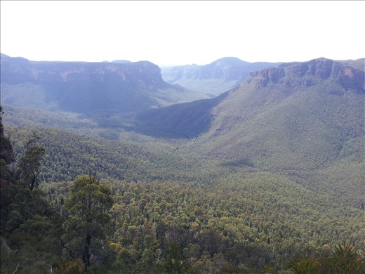 Blue mountains 