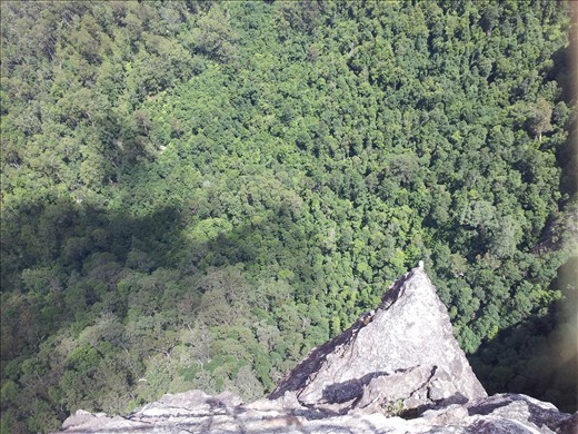 Deep gorges in the Blue mountains