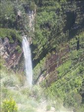 by thekiwireporter, Views[156]