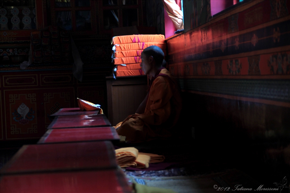 …when I was in Nepal, I volunteered for 7 weeks in a Tibetan Buddhist Nunnery; I