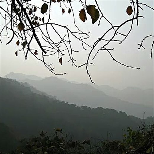 autunb on the great wall