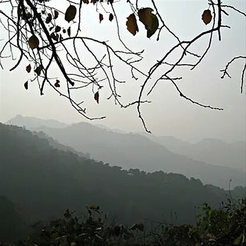 autunb on the great wall