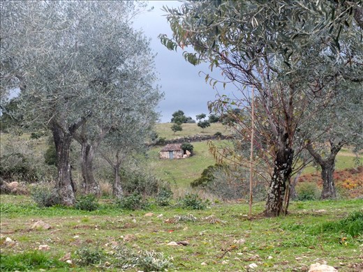 Vilarinho dos Galegos is a village that has seen depart most of its natives.