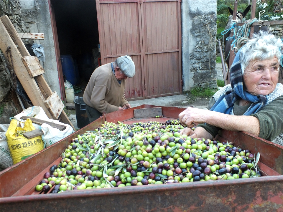 Those who stayed continue to feel the power of farming in their hands.