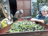 Those who stayed continue to feel the power of farming in their hands.: by thelostandfound, Views[215]